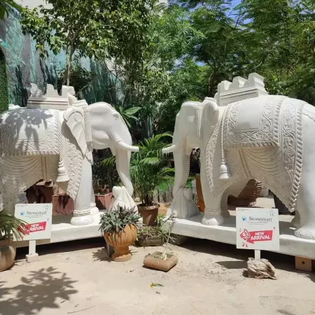 Elephant Statue Vastu Tips for Interior Vastu 2024-25